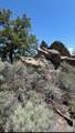 26701 Stirrup Way - Photo 4