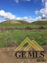 13300 Round Mountain Road - Photo 1