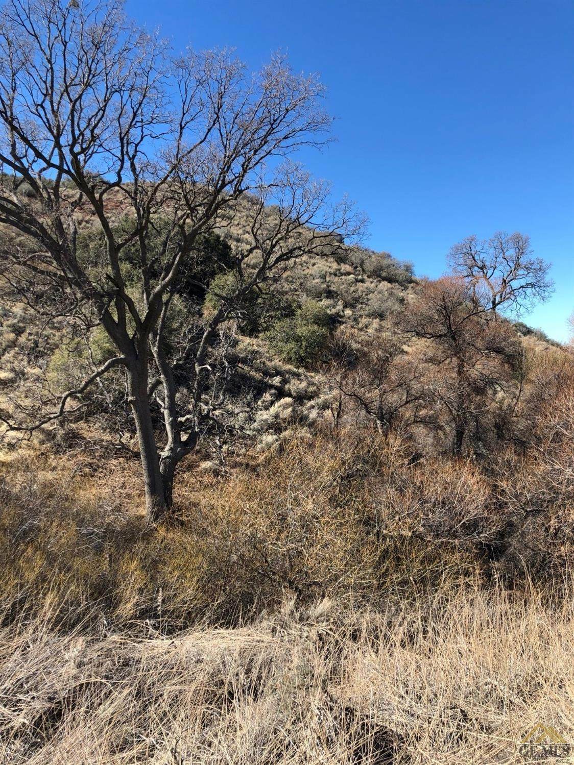 17551 Mountain Climber Way - Photo 1