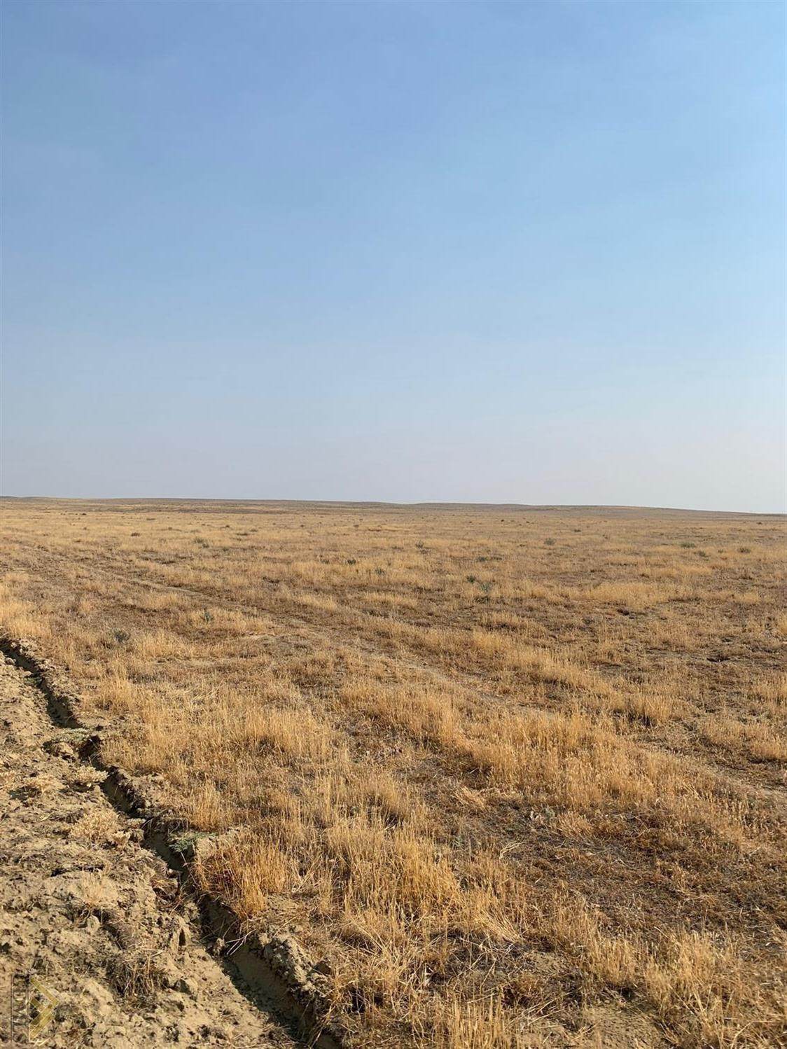 0 Twisselman Rd/33 Hwy - Photo 1