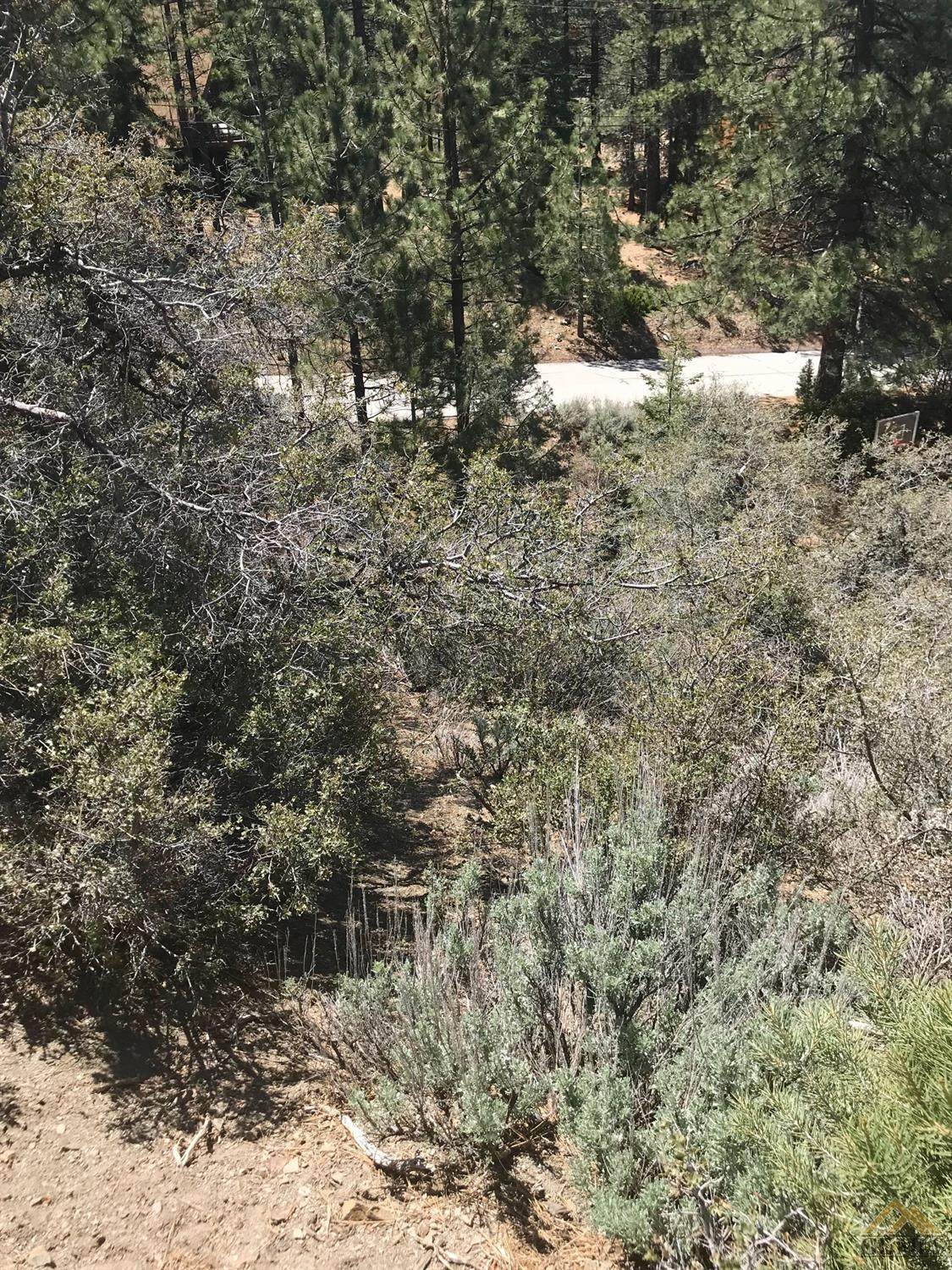 1420 Linden Drive - Photo 1