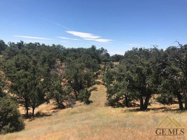 30281 Starland Drive - Photo 1