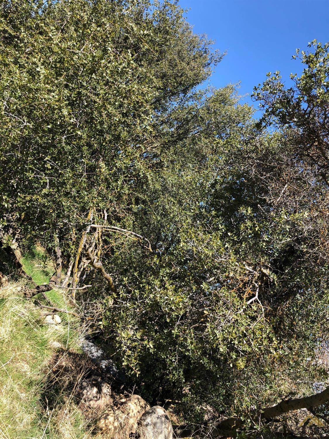 0 Basin - Photo 1