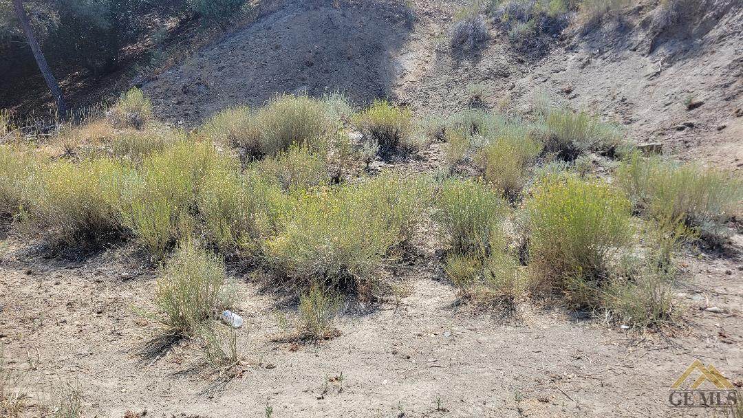14004 Yellowstone Drive - Photo 1