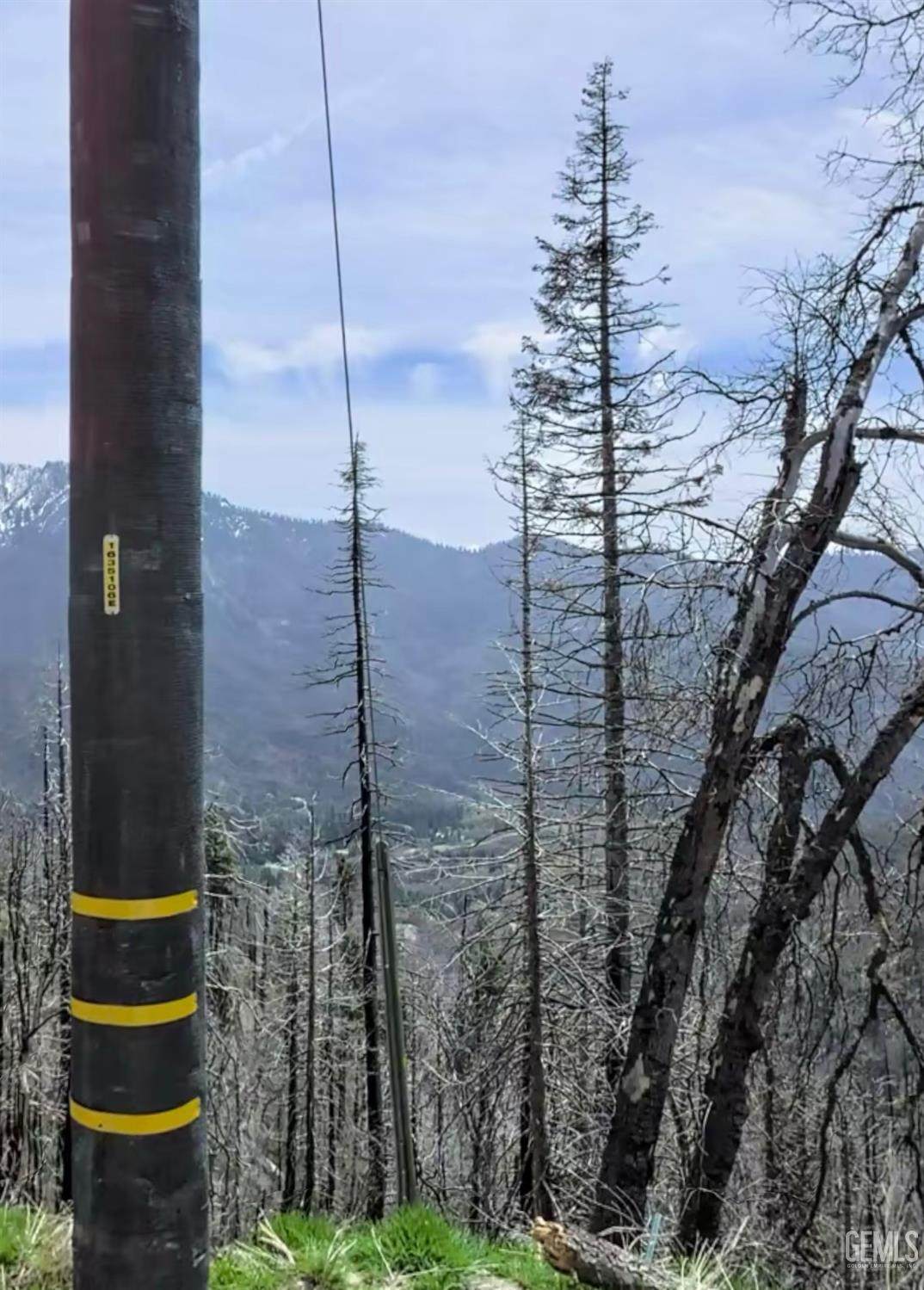 52821 Alpine Drive - Photo 1