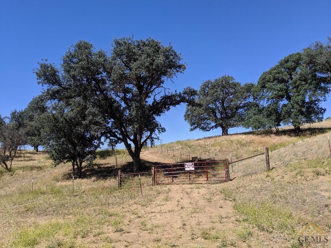 0 Caliente Creek Road - Photo 1