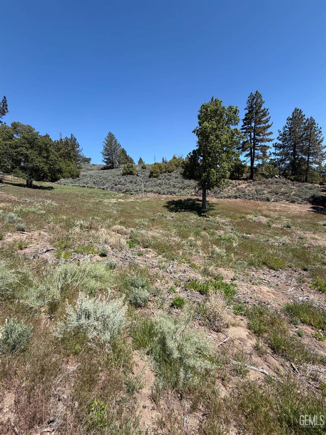 26701 Stirrup Way - Photo 1
