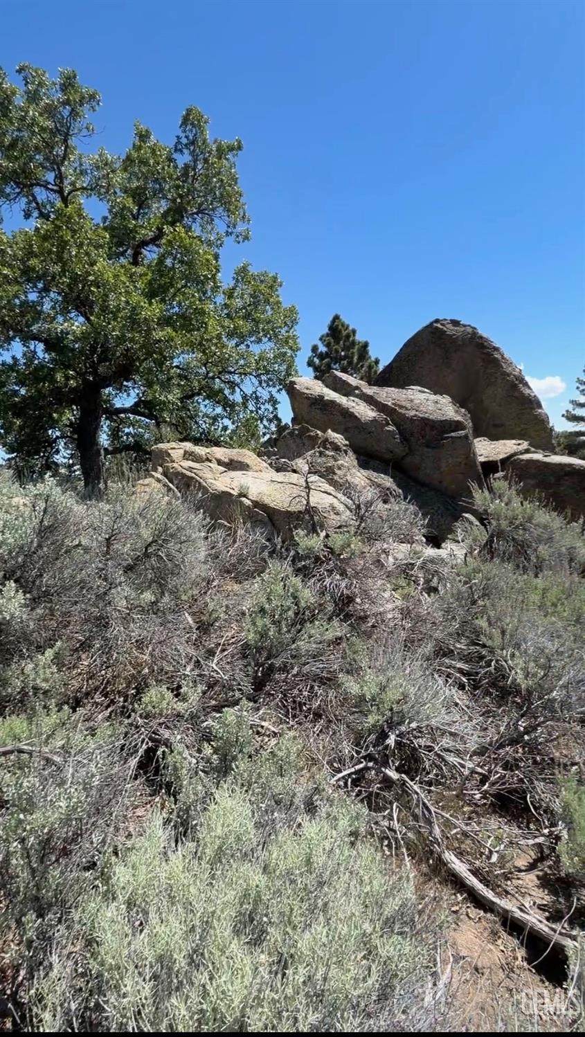 https://bt-photos.global.ssl.fastly.net/bakersfield/1280_boomver_2_202605191-2.jpg