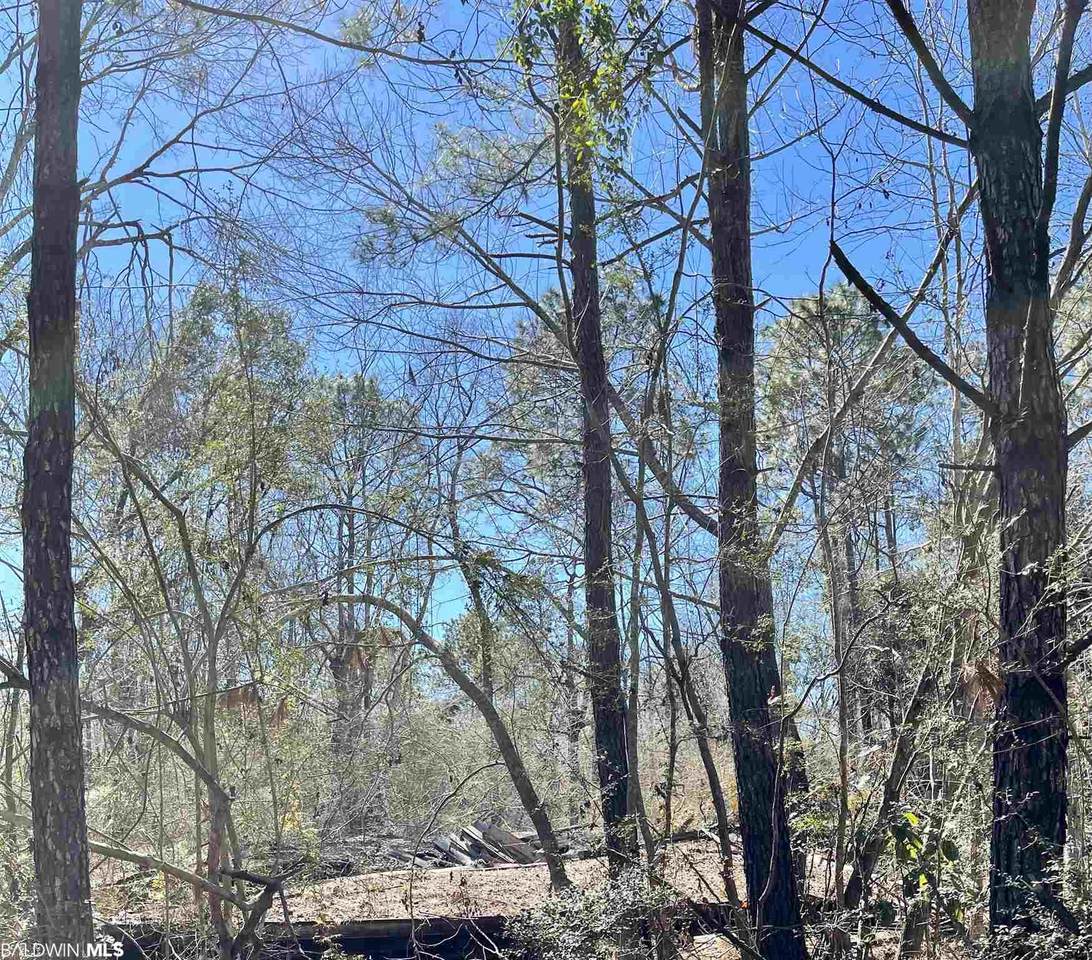 0 Highway 59 - Photo 1