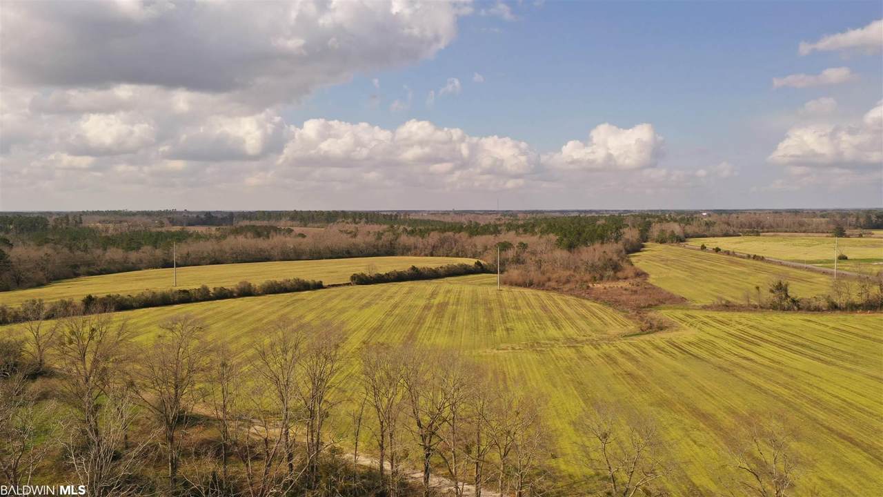 4801 Pine Barren Road - Photo 1