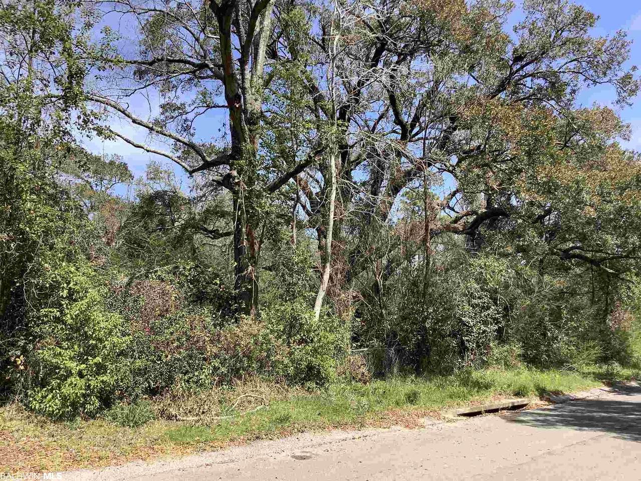 8212 Kingsridge Rd - Photo 1