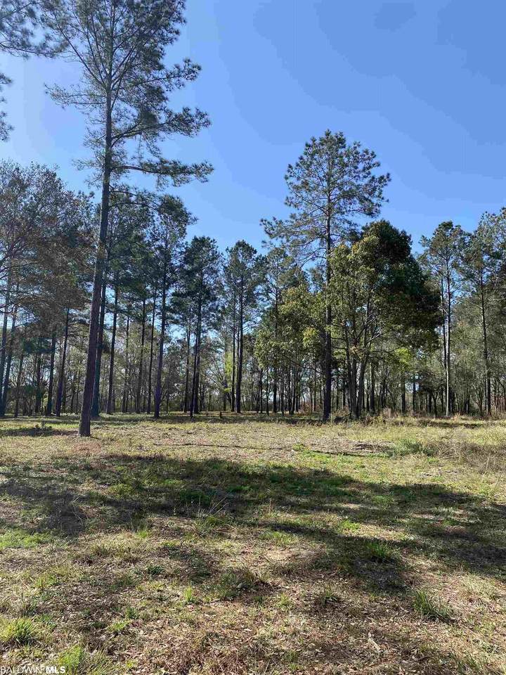 0 Old Brady Rd - Photo 1