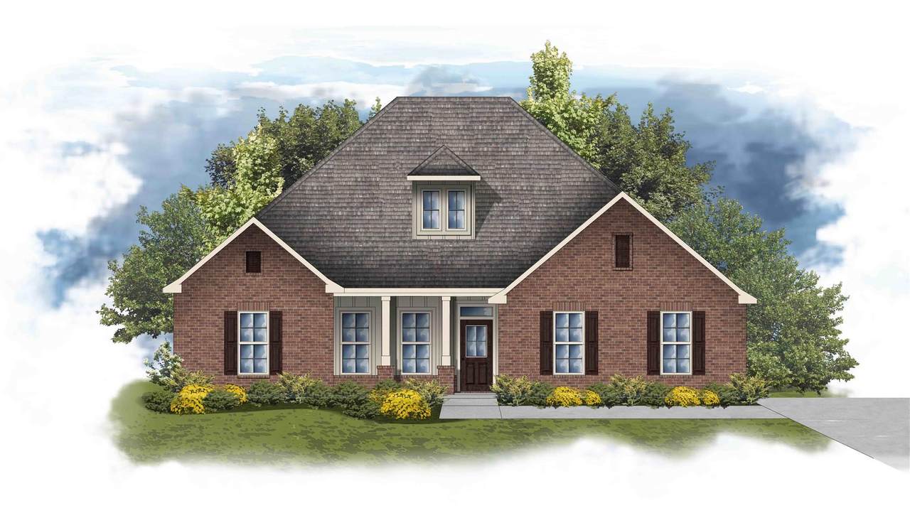 34207 Burwood Drive - Photo 1