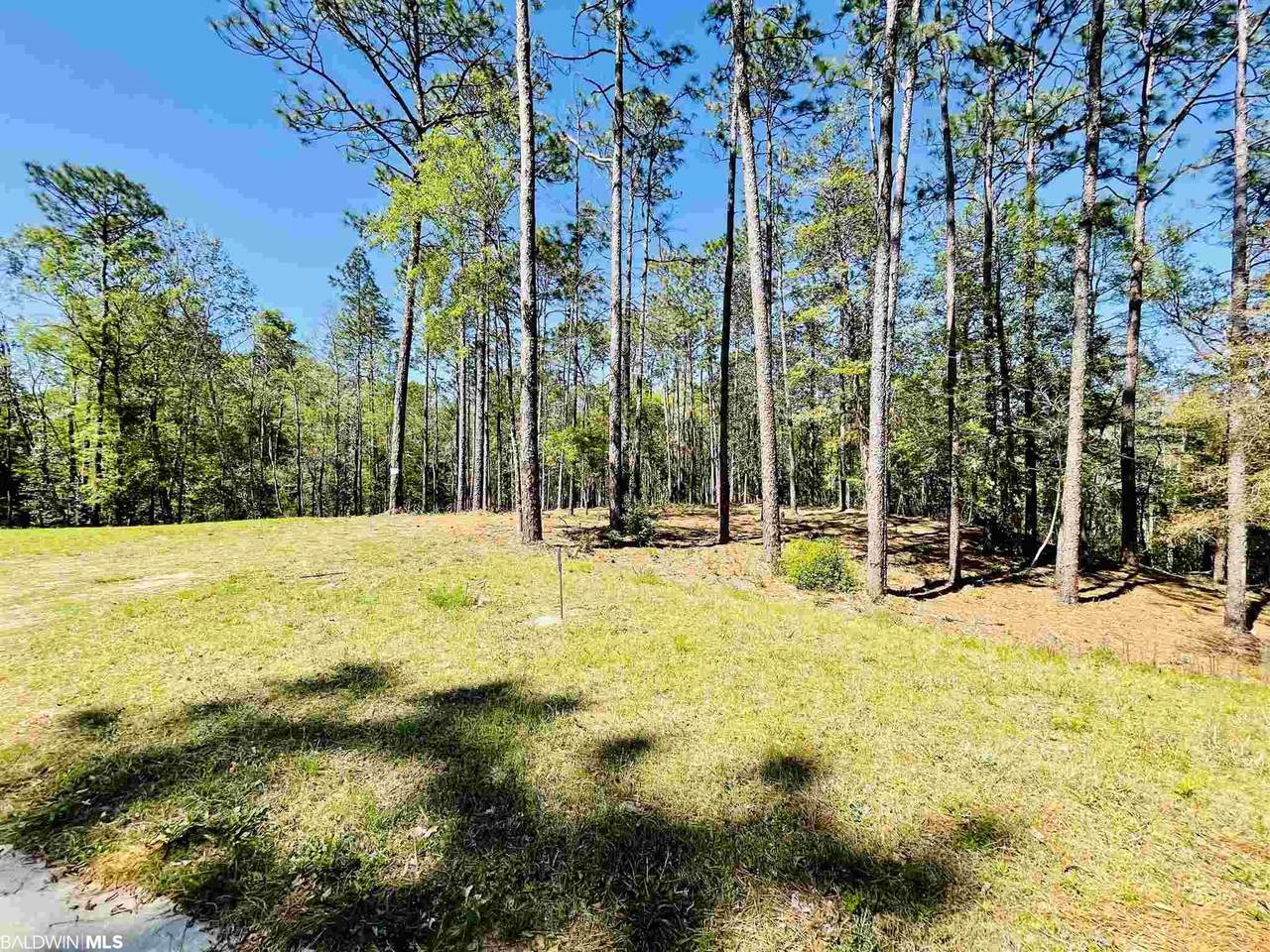 31620 Shambo Road - Photo 1