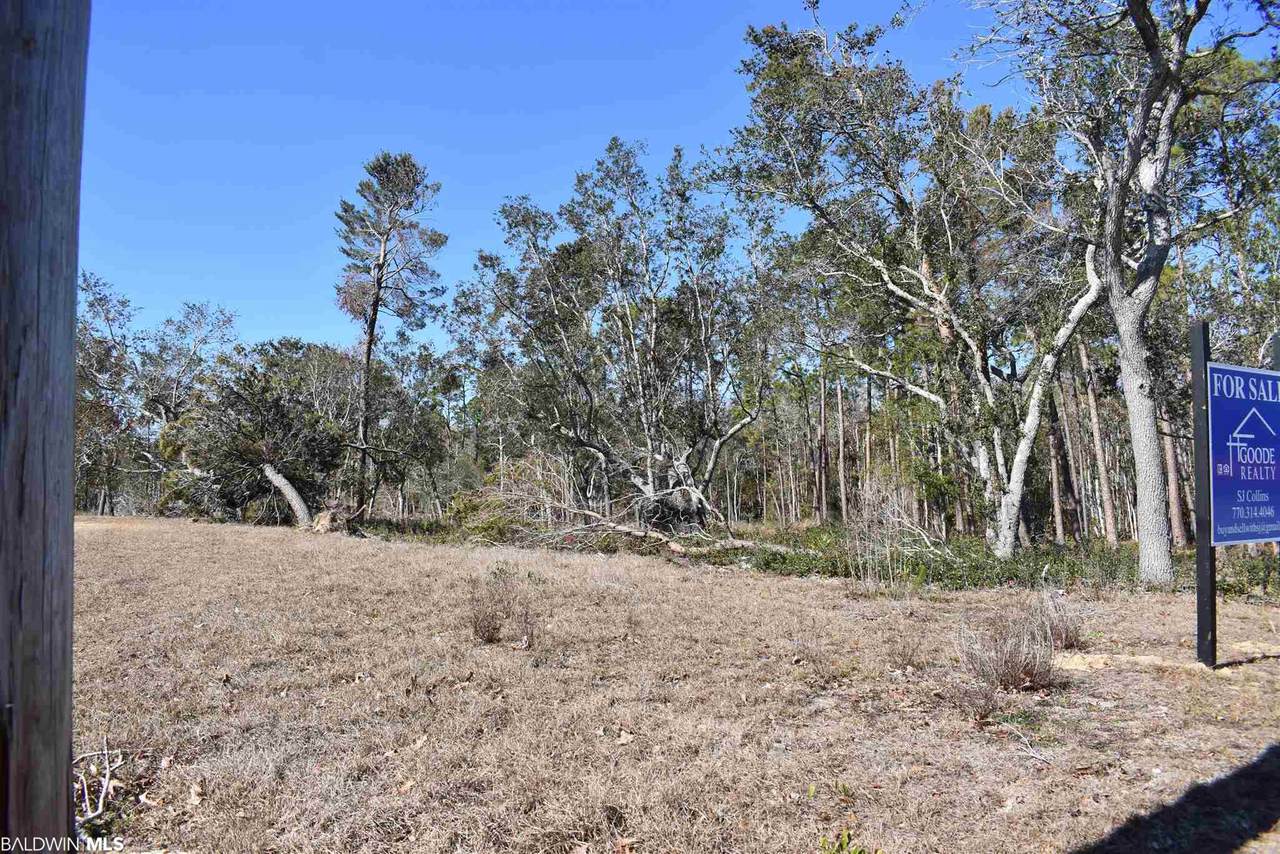4251 Orange Beach Blvd - Photo 1
