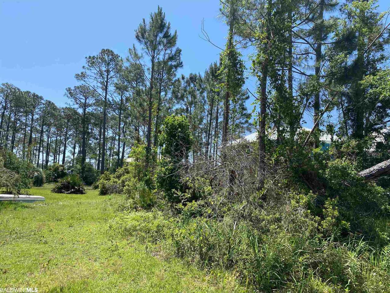 421 Magnolia Drive - Photo 1