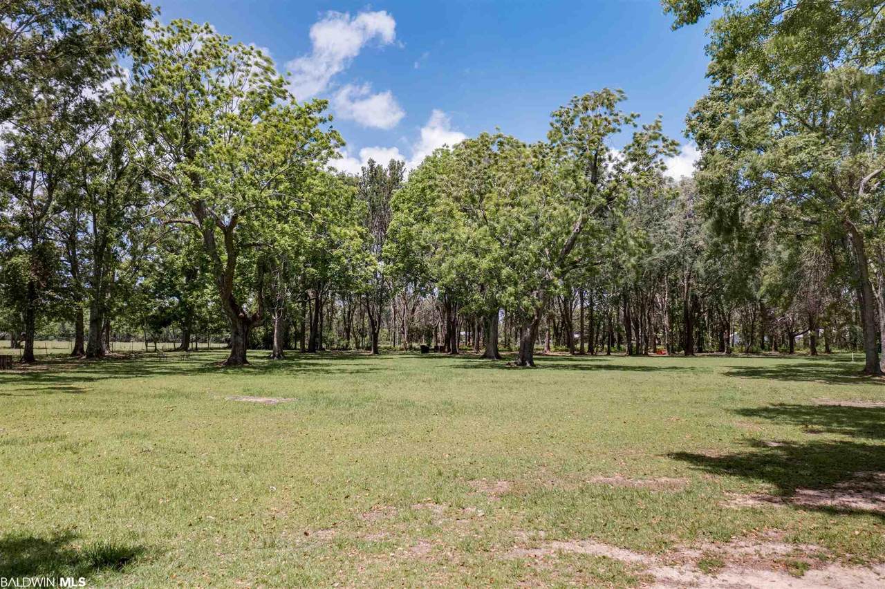 14202 County Road 3 - Photo 1