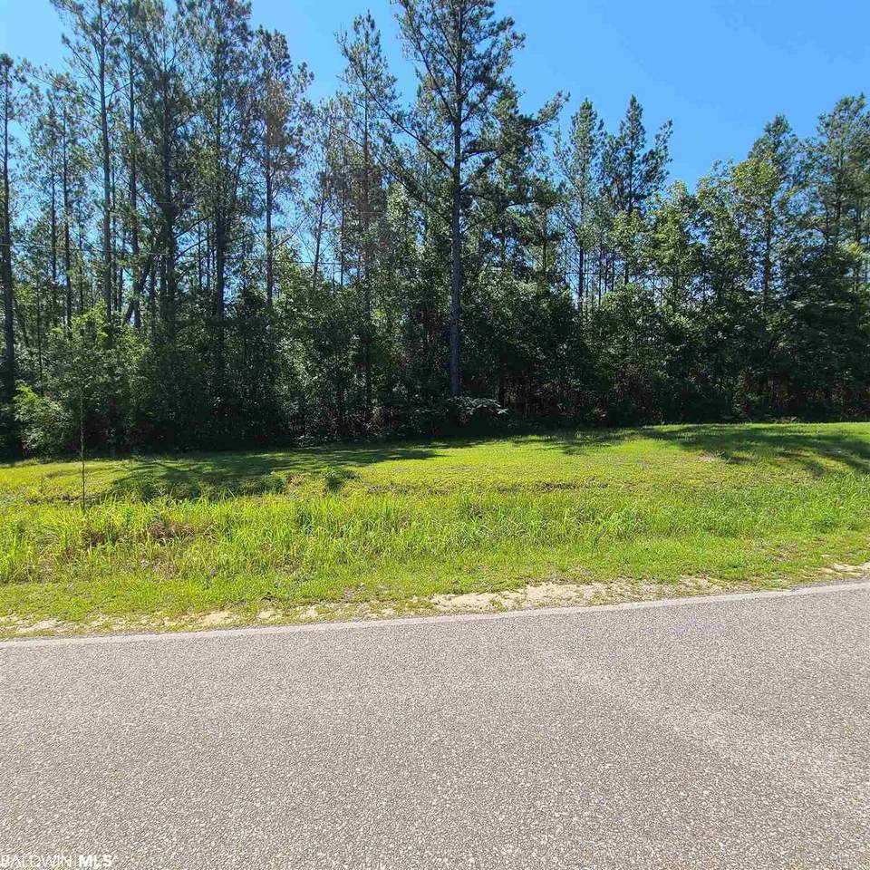0 Styx River Rd - Photo 1