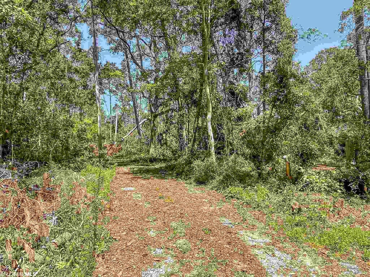 18766 Sims Drive - Photo 1