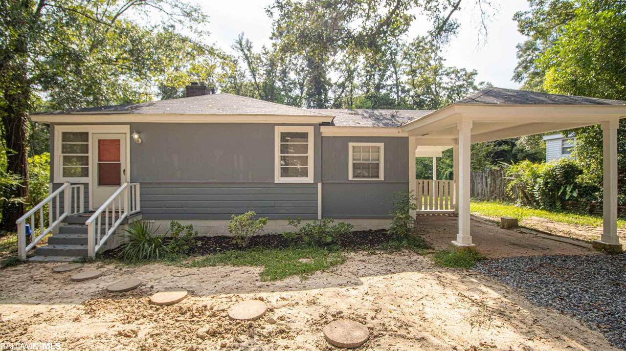 113 Border Drive - Photo 1
