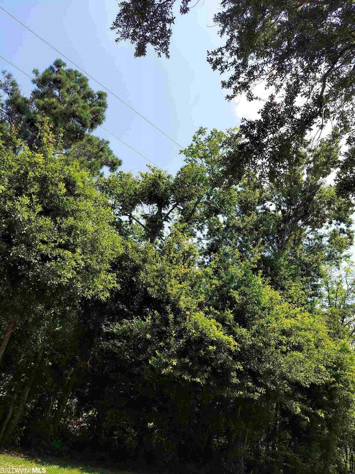 6907 Scenic Highway 98 - Photo 1