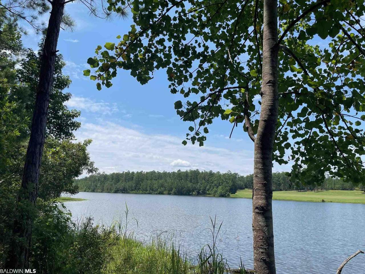 0 Lake Juniper Rd - Photo 1