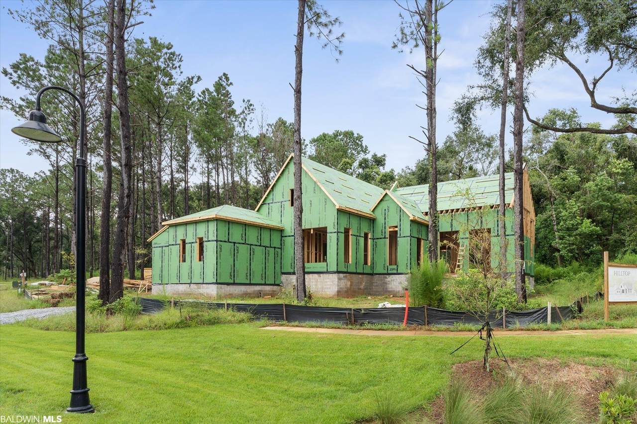 6981 Petiole Drive - Photo 1