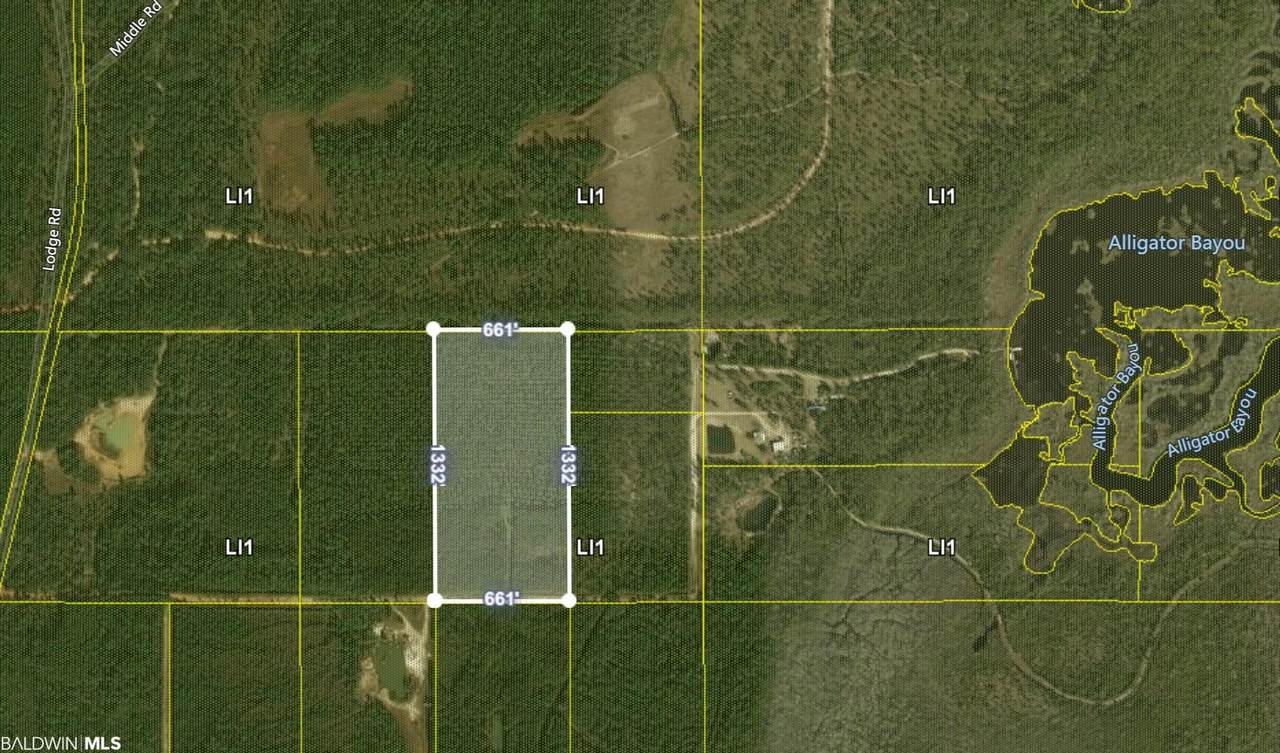 0 Bishop Trace - Photo 1