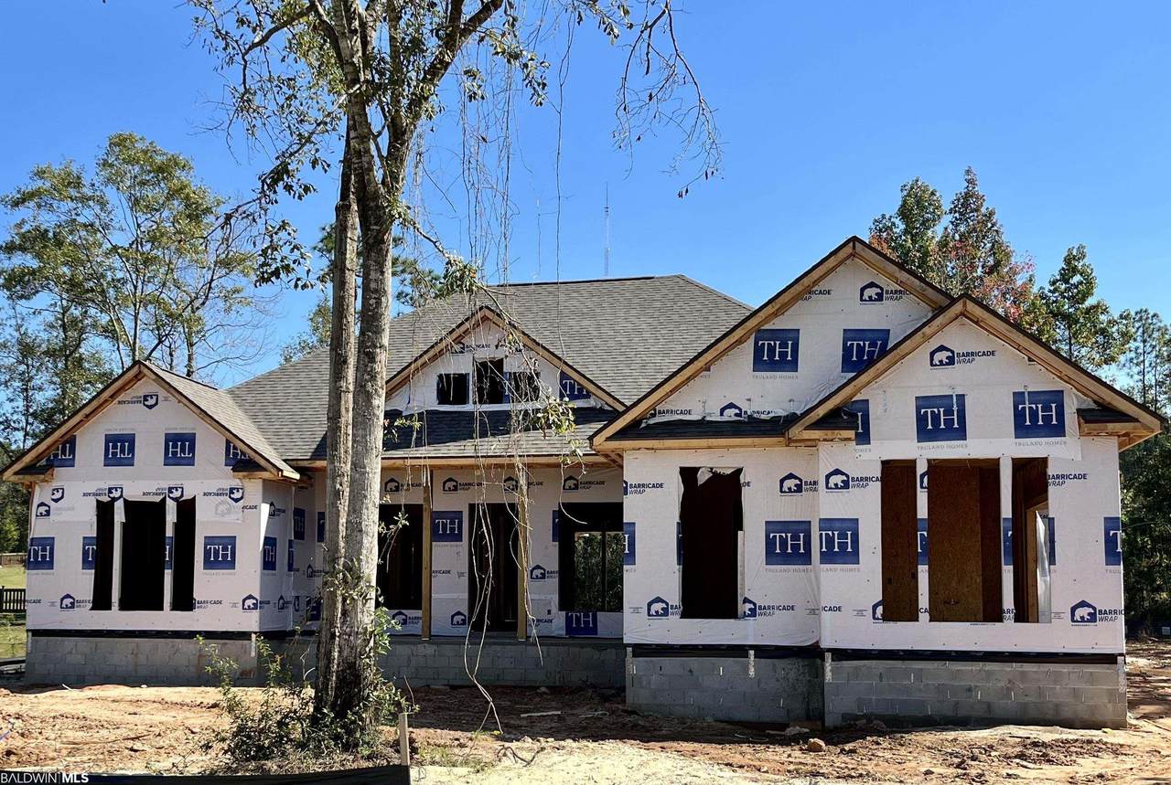 31798 Dewpoint Lane - Photo 1