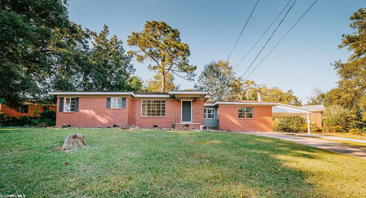 720 Salvia Street - Photo 1