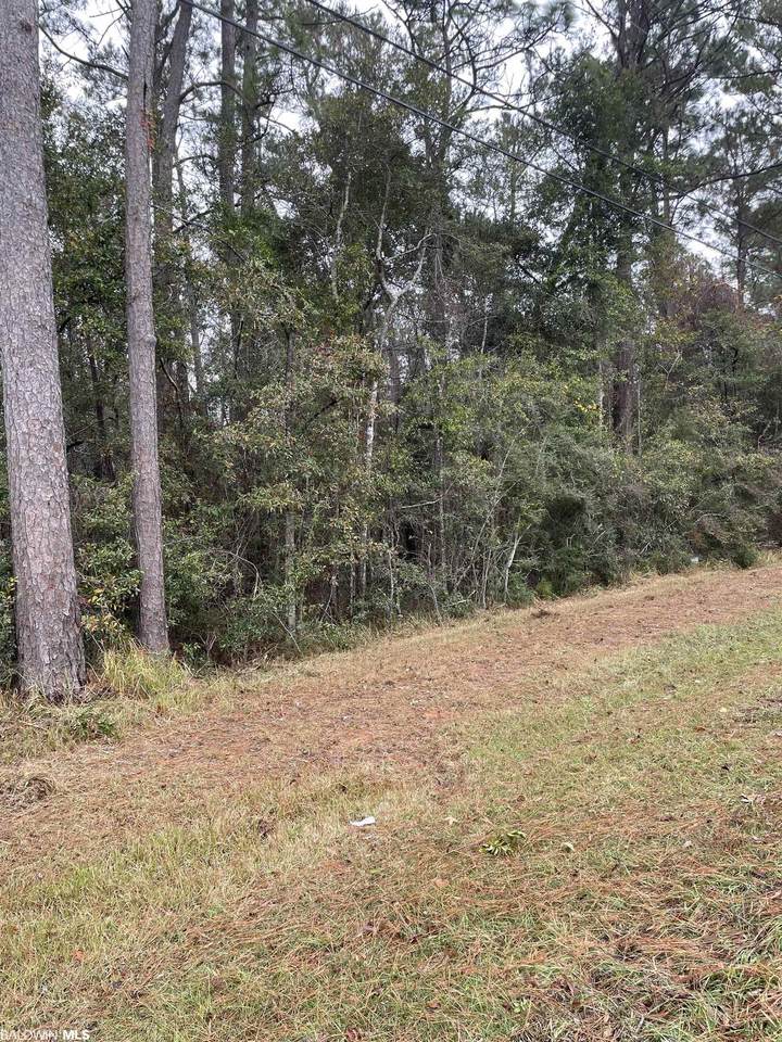 000 Park Drive - Photo 1