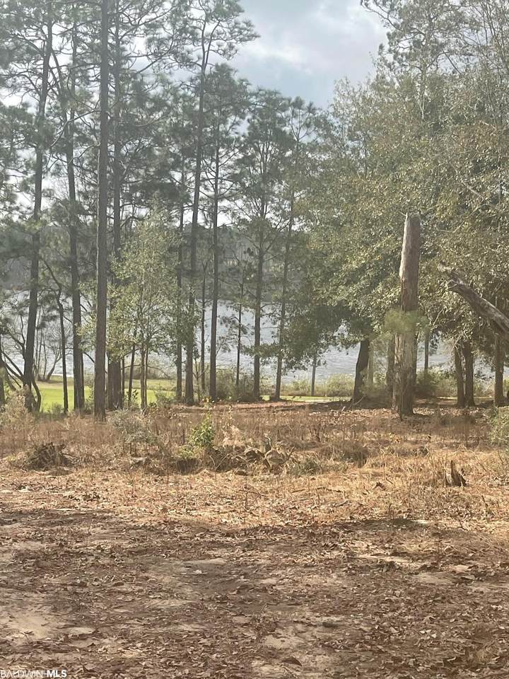 Lot 10 Waterview Dr - Photo 1