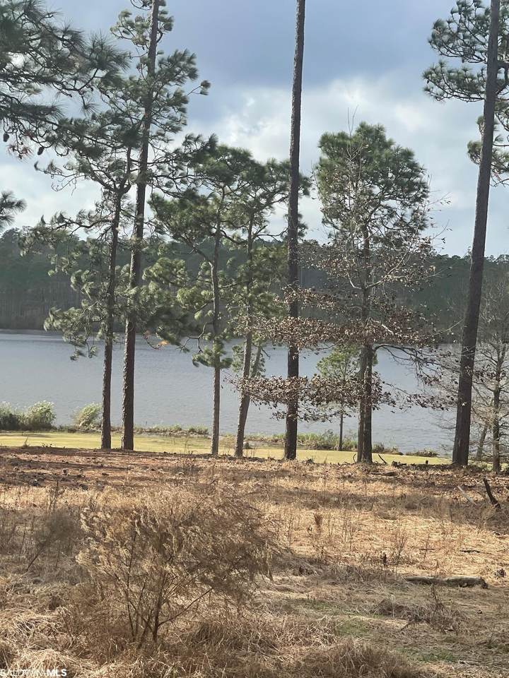 Lot 12 Waterview Dr - Photo 1