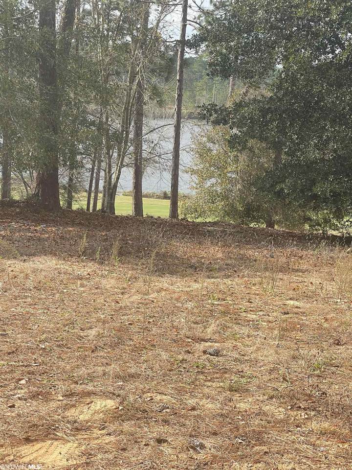 Lot 13 Waterview Dr - Photo 1