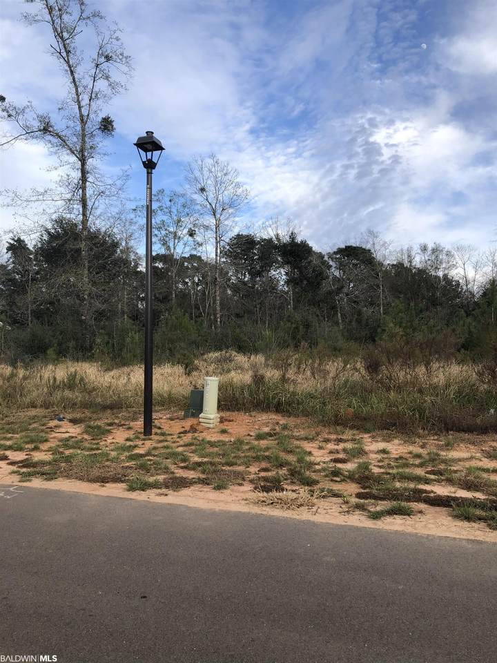 0 Grand Bay-Wilmer Rd - Photo 1