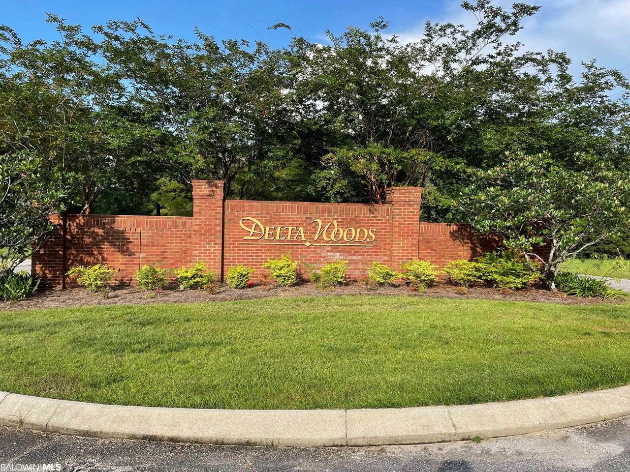 0 Delta Woods Drive - Photo 1