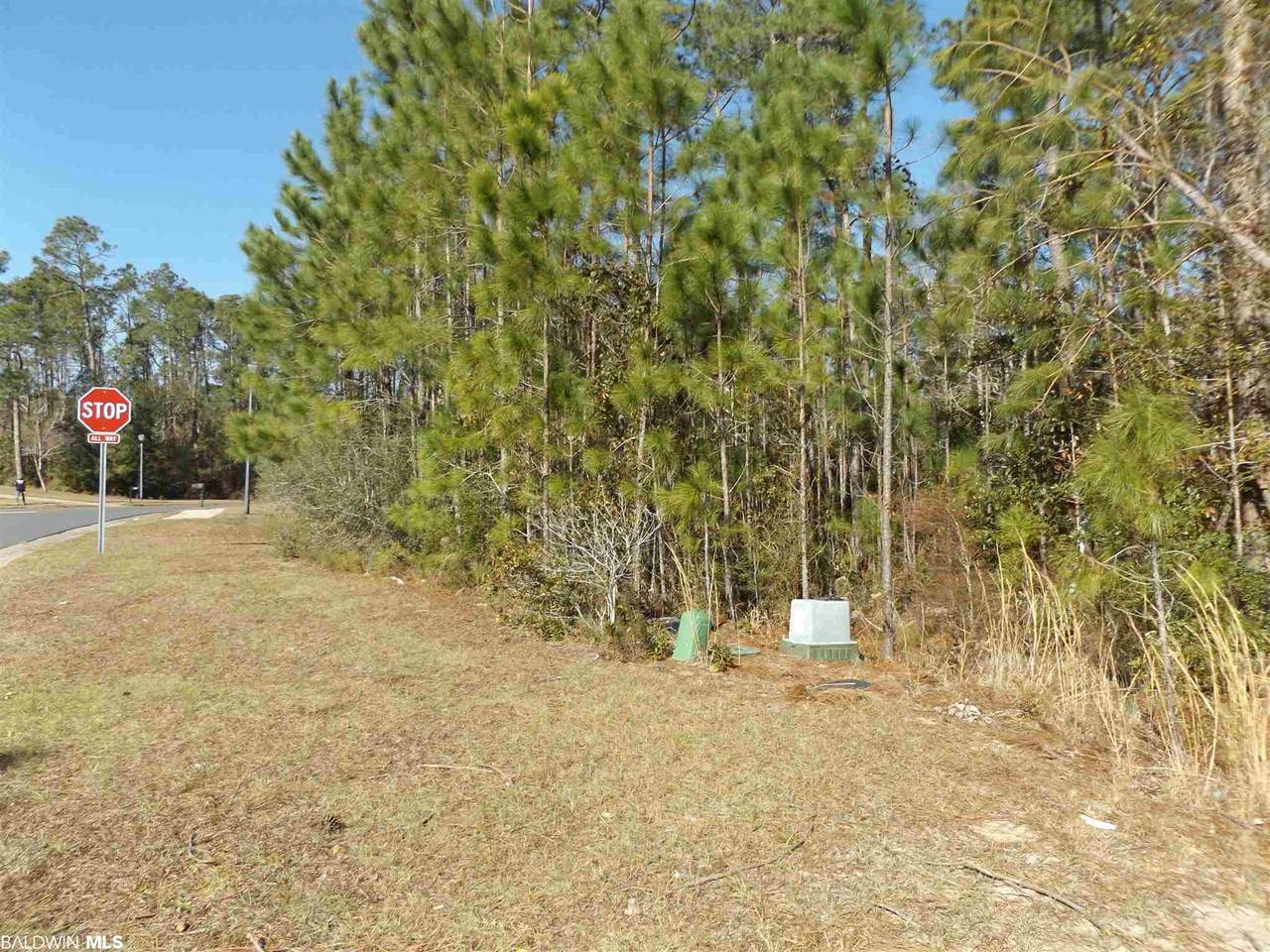 0 Wedgewood Drive - Photo 1