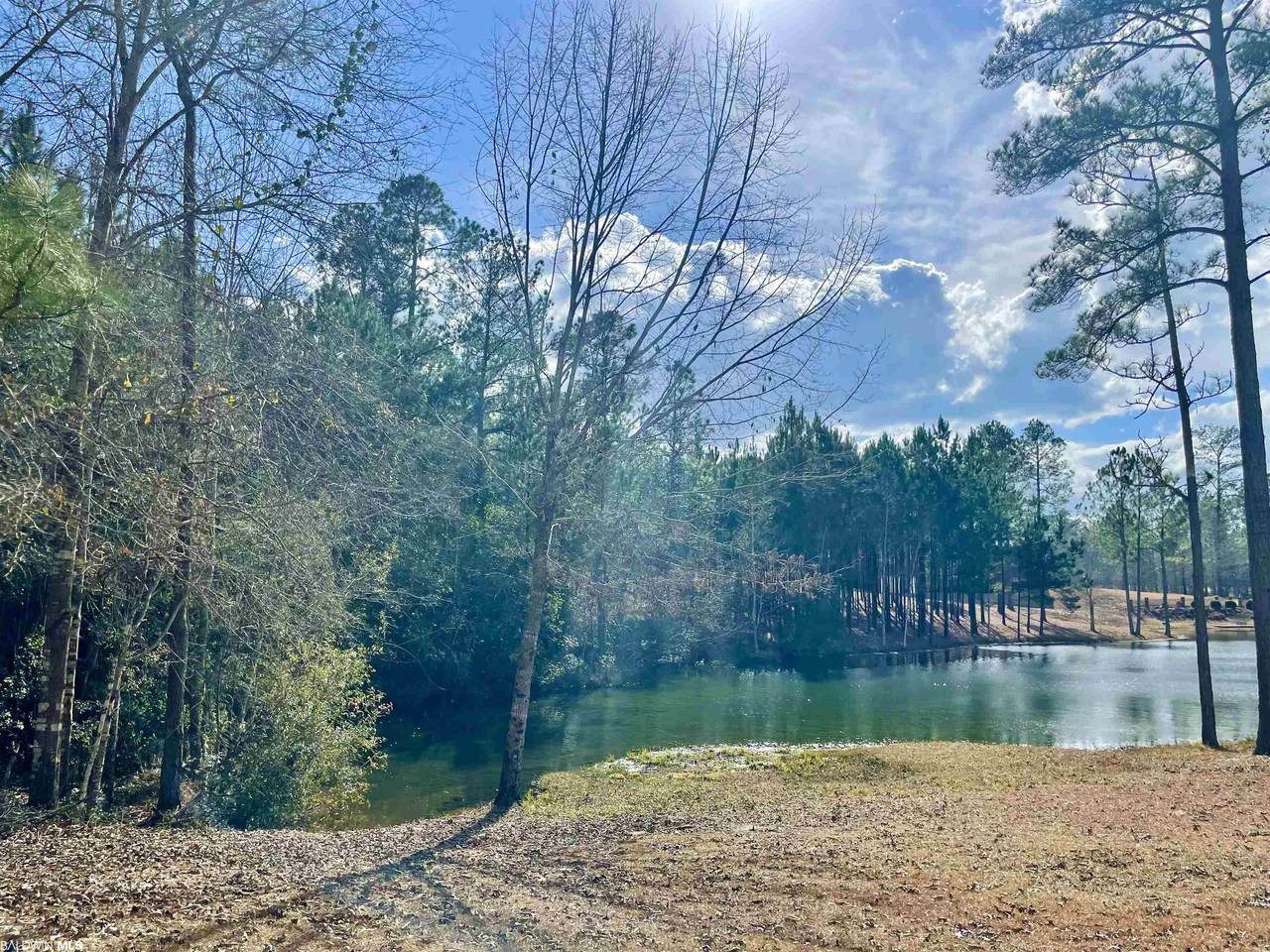 0 Juniper Creek Dr - Photo 1