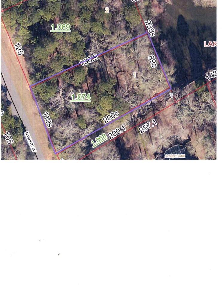 00 White Avenue - Photo 1