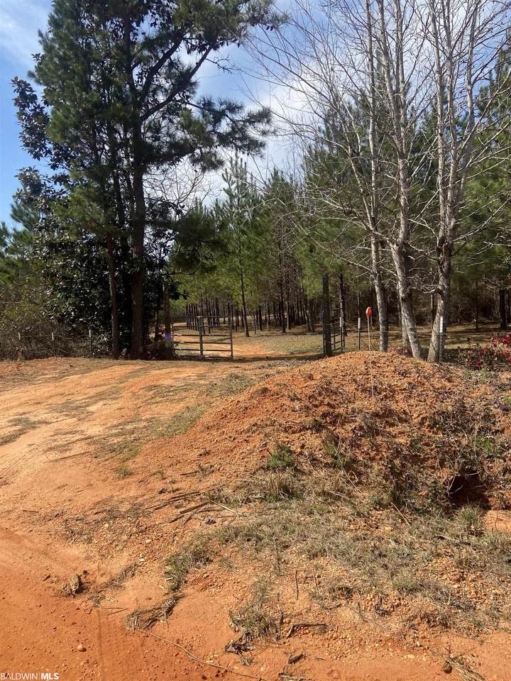 3540 Bear Creek Drive - Photo 1