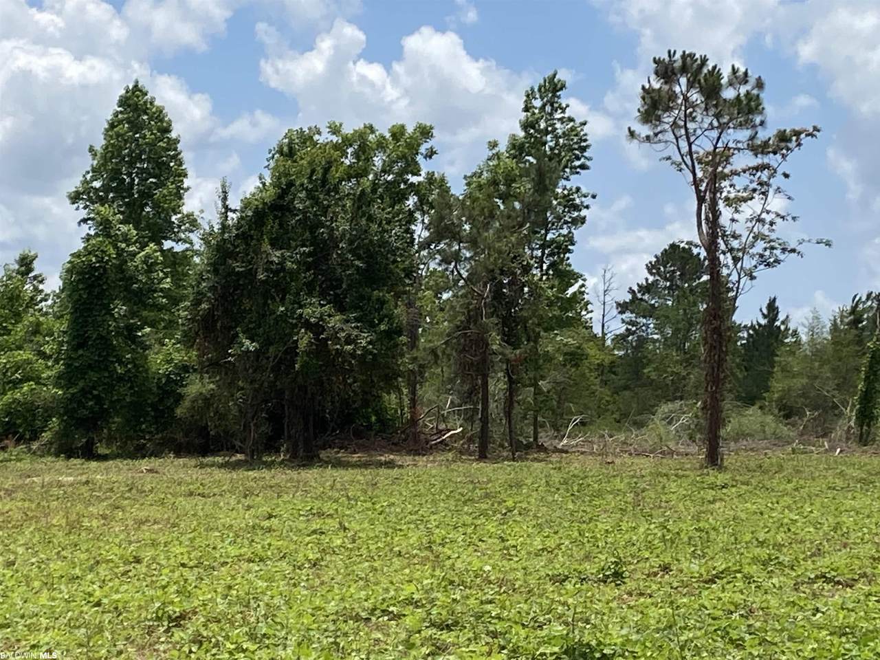0 Airport Blvd - Photo 1