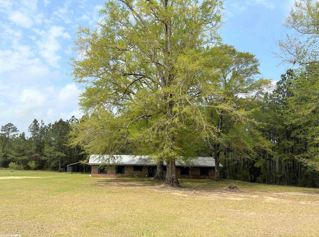 1607 Highway 31 - Photo 1