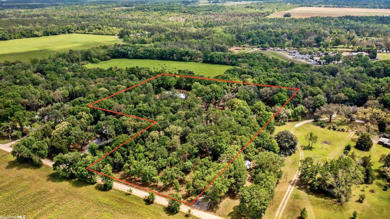 13786 Snarr Road - Photo 1