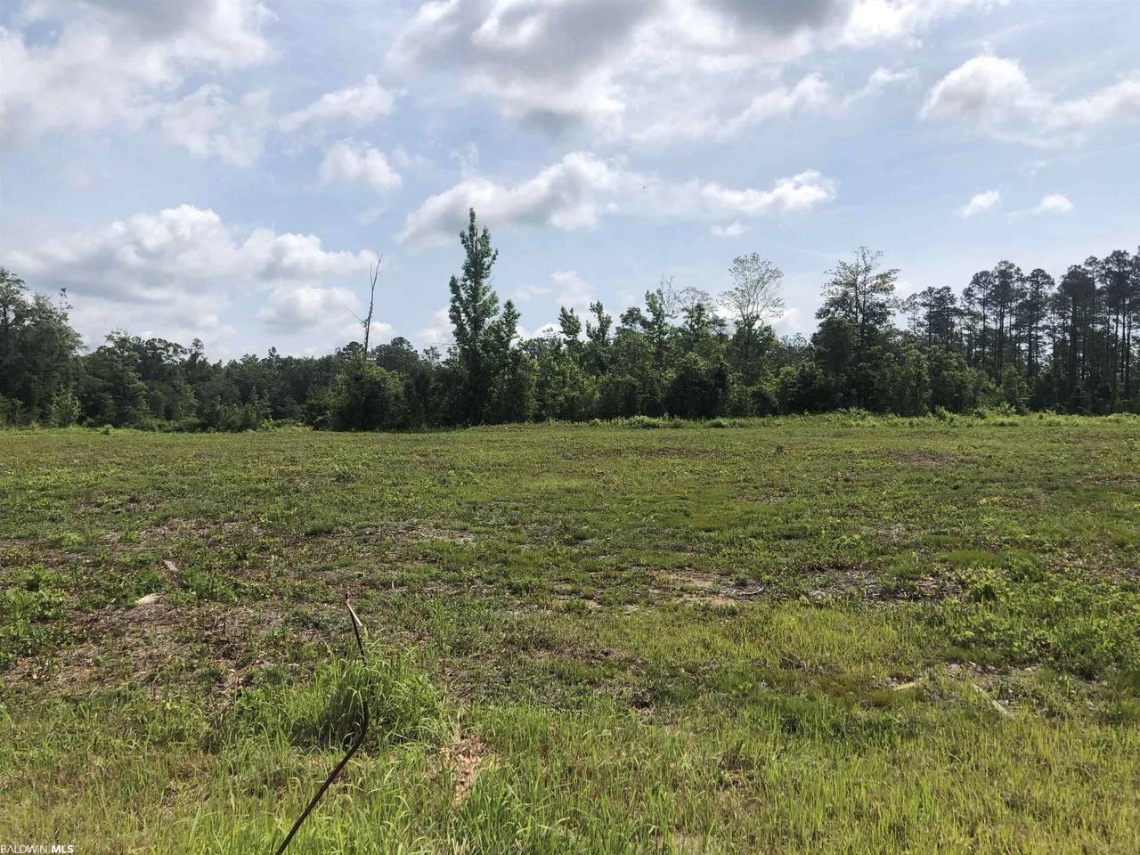 0 Highway 59 - Photo 1