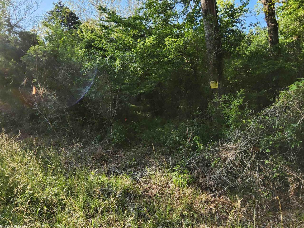 11703 County Road 26 - Photo 1