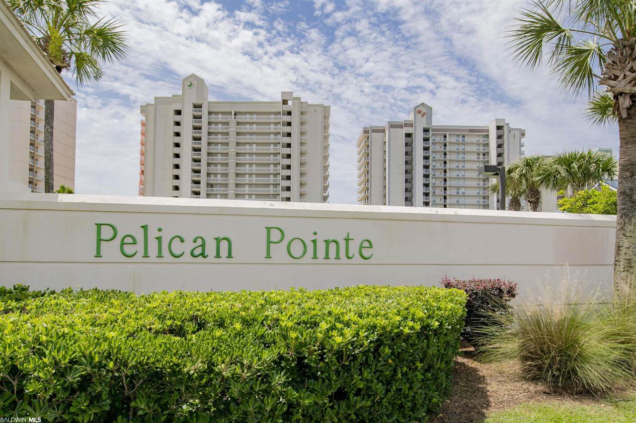 24800 Perdido Beach Blvd - Photo 1
