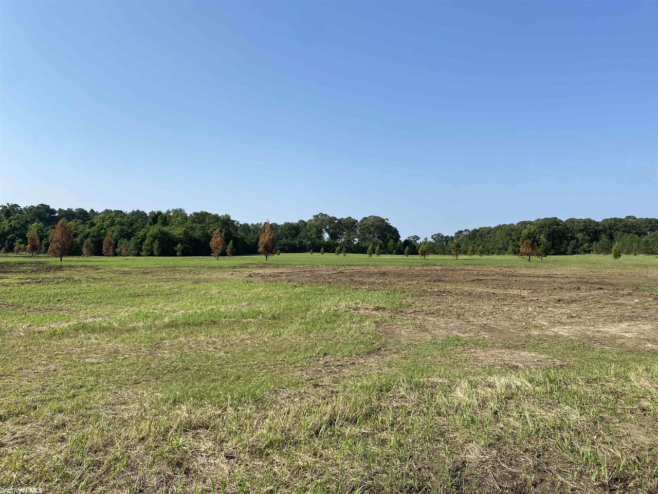 0 Box Rd - Photo 1