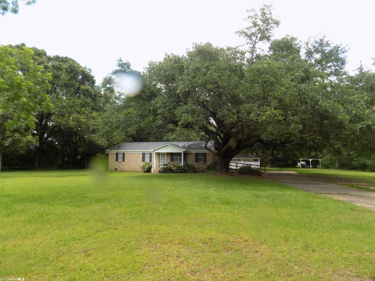 20132 Highway 181 - Photo 1