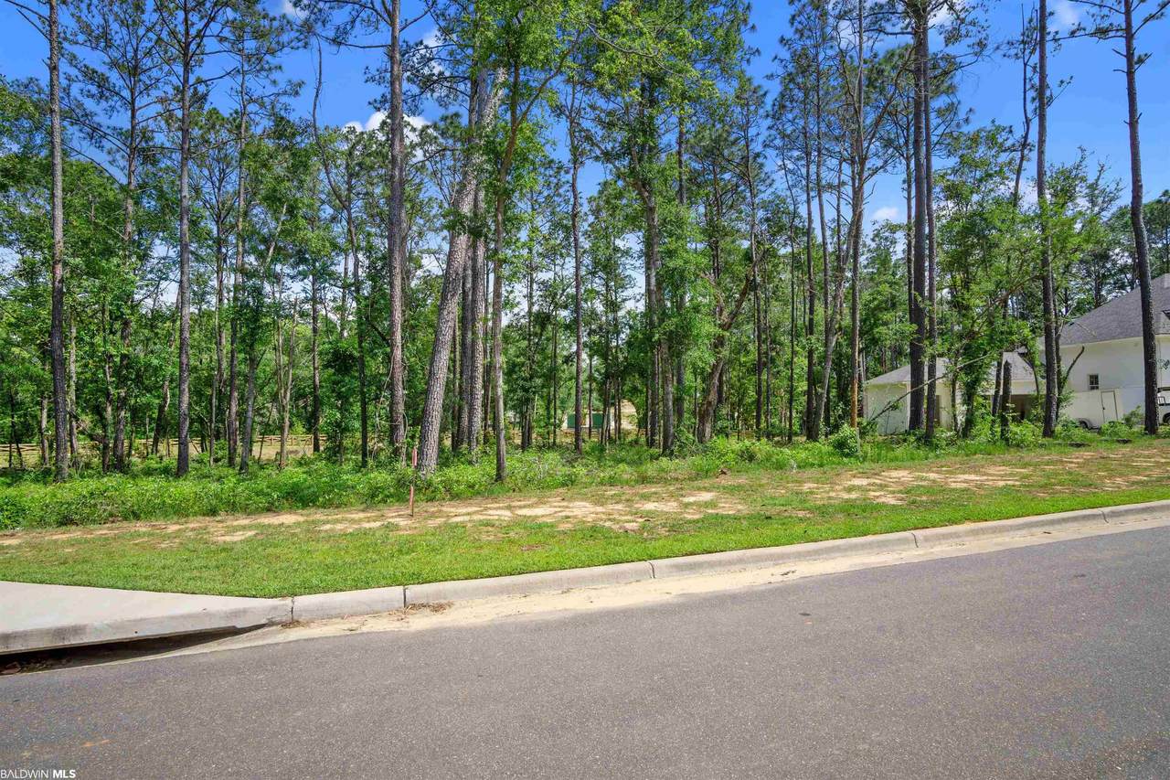 0 Petiole Drive - Photo 1