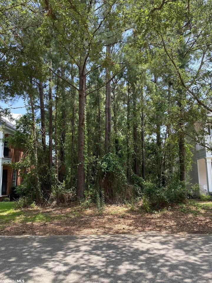 123 Savannah Square - Photo 1